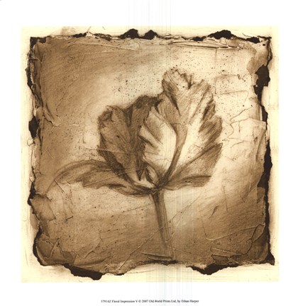 Framed Floral Impression V Print