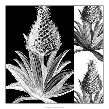 Framed Pop Pineapple I Print