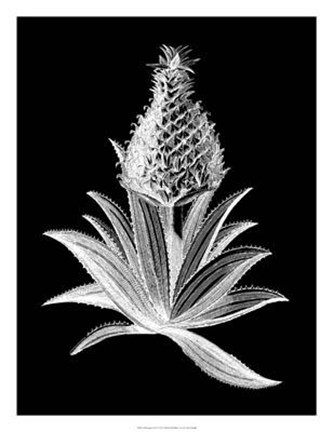 Framed Pineapple Noir I Print