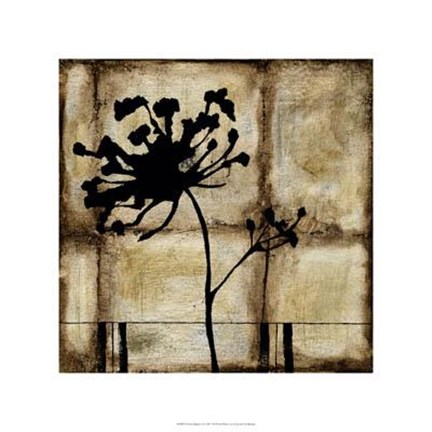 Framed Patina Elegance II Print
