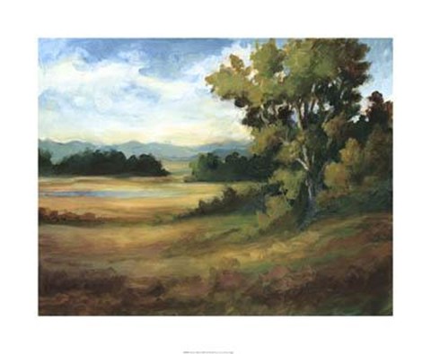 Framed Amber Fields Print