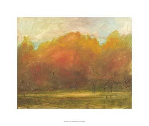 Framed Auburn Vista I Print