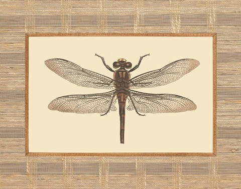 Framed Delicate Dancer I Print