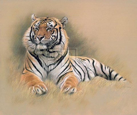 Framed Tiger [Ed 195] Print