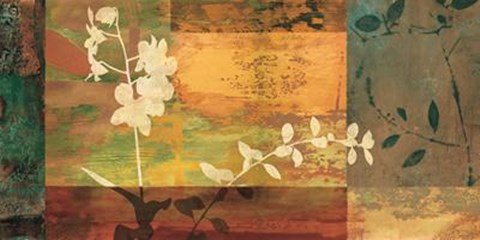 Framed Shambala II Print