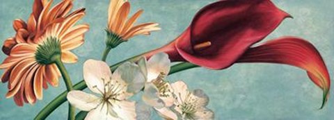 Framed Luce E Colore II Print