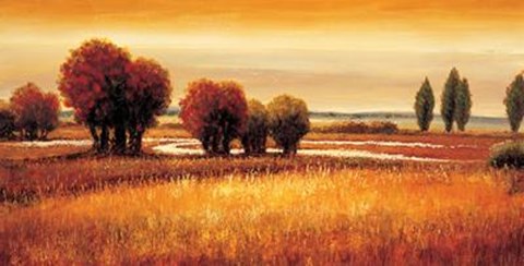 Framed Golden Reflections I Print