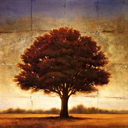 Framed Splendor I Print