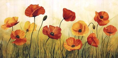 Framed Prato Di Papaveri Print