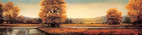 Framed Landscape Panorama II Print