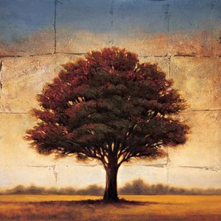 Framed Splendor I Print