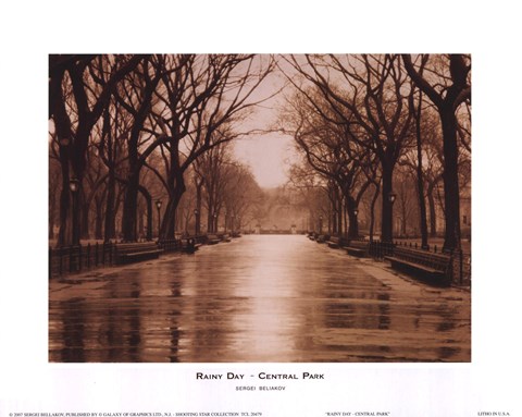Framed Rainy Day - Central Park Print