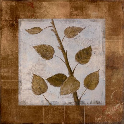 Framed Birch - Mini - Cs Print