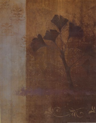 Framed Woodland Shadows I - Cs Print