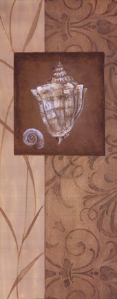 Framed Sand Shell I Print