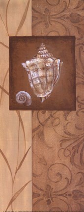 Framed Sand Shell I Print