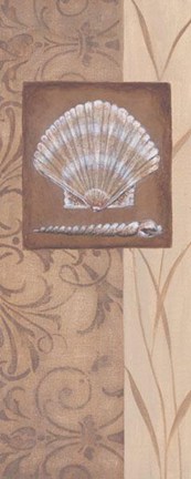 Framed Sand Shell II Print
