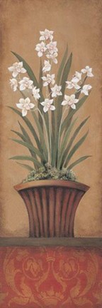 Framed Paperwhites II Print