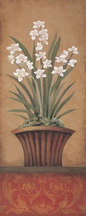 Framed Paperwhites II - Petite Print