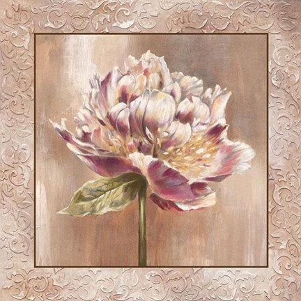 Framed Pivoines I - Cs Print