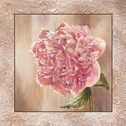 Framed Pivoines II - Cs Print