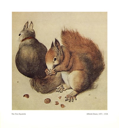 Framed Squirrels, c.1512 Print