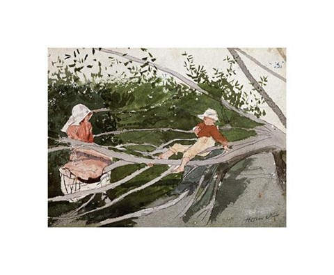 Framed Out On A Limb Print
