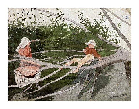 Framed Out On A Limb Print