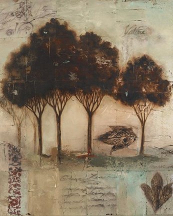 Framed Natural Light II Print