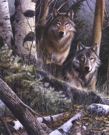 Framed Watchful Eyes Print