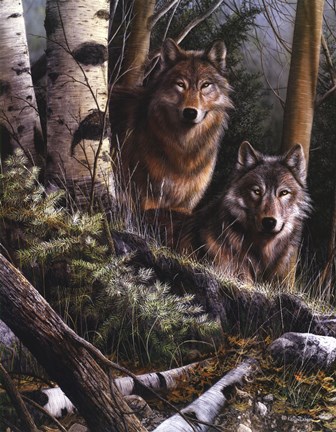 Framed Watchful Eyes Print