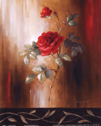 Framed Crimson Rose II Print