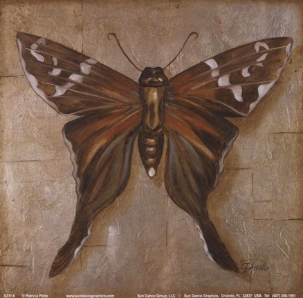 Framed Brown Butterfly Print