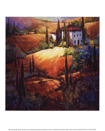 Framed Morning Light Tuscany Print