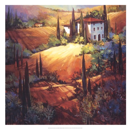Framed Morning Light Tuscany Print