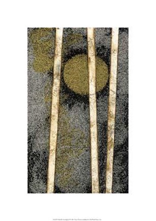 Framed Metallic Moonlight II Print