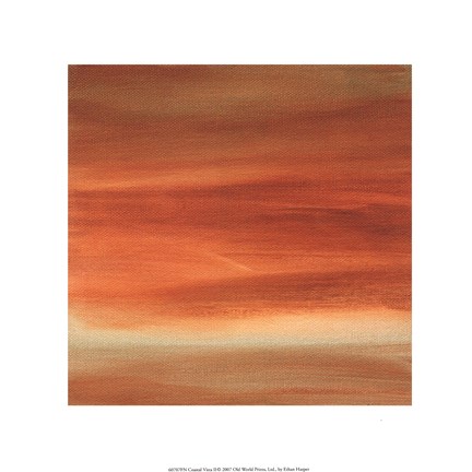 Framed Coastal Vista II Print