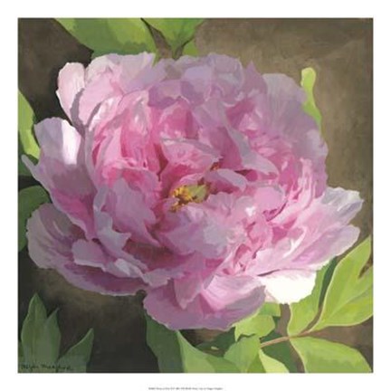 Framed Peony In Pink II Print
