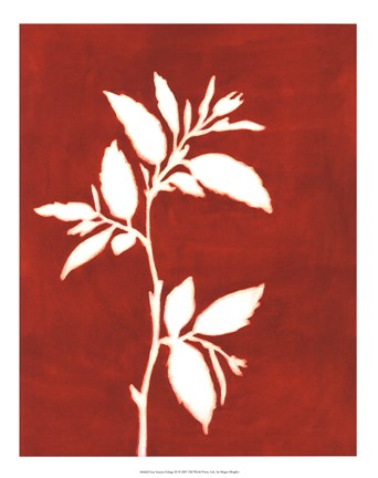 Framed Four Seasons Foliage III Print