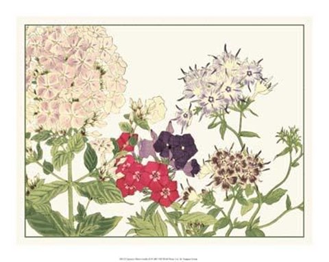 Framed Japanese Flower Garden II Print