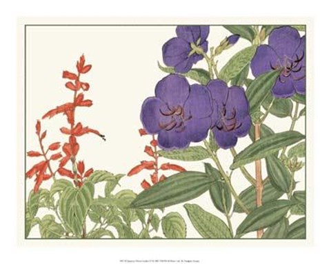 Framed Japanese Flower Garden VI Print