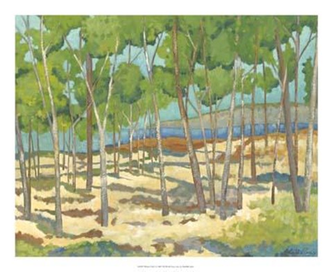 Framed Western Vista I Print