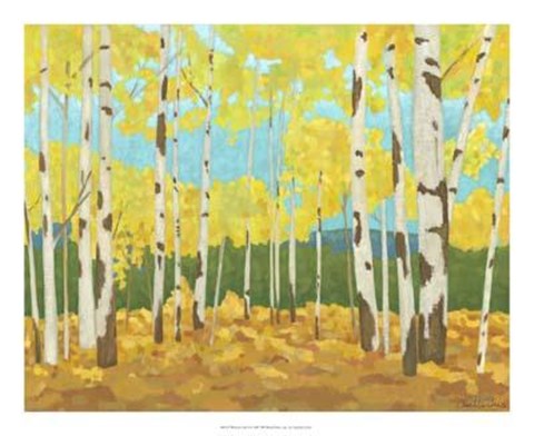 Framed Western Vista II Print