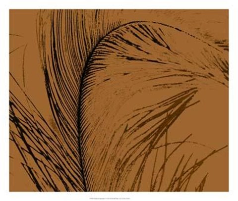 Framed Feathered Impression I Print