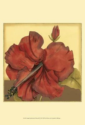 Framed Cropped Sophisticated Hibiscus III Print