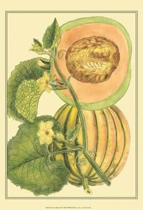 Framed Exotic Melons IV Print