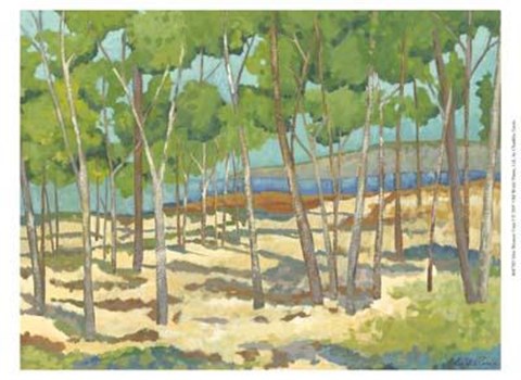 Framed Mini Western Vista I Print