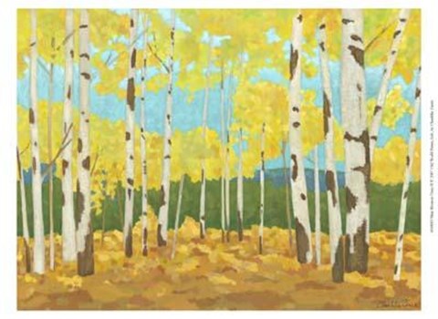 Framed Mini Western Vista II Print