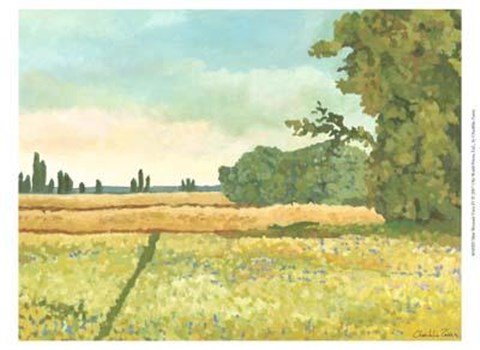 Framed Mini Western Vista IV Print