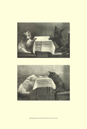 Framed Waiting For Dinner Print